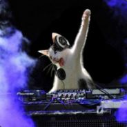 是的，这是一份礼顺物