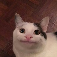 Alief Fauzan 's avatar