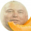 Melon Musk