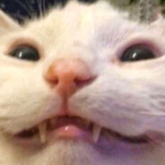 PiankowaMarynareczka