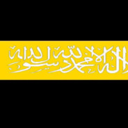 @ilyqwilsa avatar