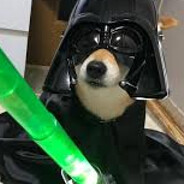 Darth Shiba