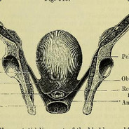 \\u5c81\\u6708\\u5982\\u6b4c