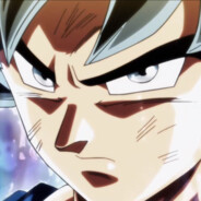 自在極意ですしき