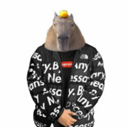 ok i pull up