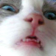 THASHER - steam id 76561197964448566