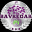 Bavregar