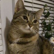 乇爪卩ㄩ尺尺乇尺