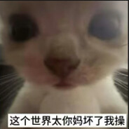 我靠怎么就我一个人了