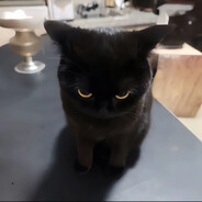 航
