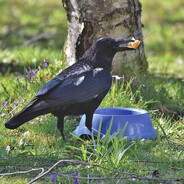 aSdAasd - steam id 76561198114049923