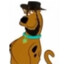 Scooby Jew