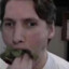 leaf muncher
