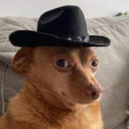 deibidaam