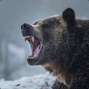 Borben_Schamwey