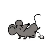 马里奥特鼠大王