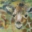 E-Girl Girafen Egonline♿