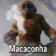 monke