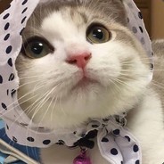 爱丽丝永远住在这里