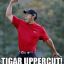 Tigar Uppercut