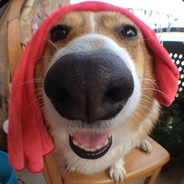 五百多个小朋友