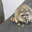 Raccoonfucker69