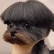vindixin