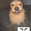 Gab