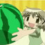 melon friend