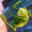 Kermit