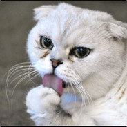 喵喵喵喵喵喵喵喵喵