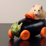 ДрчславСынСергея