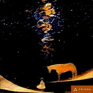 关于我直播放牛被封号