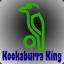 Kookaburra_king