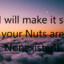 NutDestroyer9000