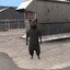 ToastOnCat