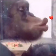 有皮也是白给呀