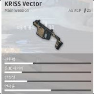 KR vector
