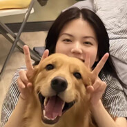 羊了个羊忠实粉丝