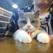 能不能别追我了，我带了打击。