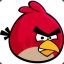 angrybird