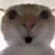 czsczs
