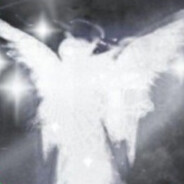 010101101111101101010110110110 - steam id 76561199555948131