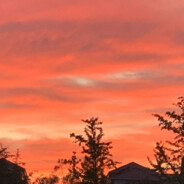 青青草原外卖员