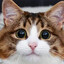 Gatito violador 3000