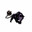 coo1cat