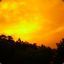 Yellow Sky