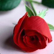 @eavienna_ - steam id 76561197962986700