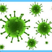 Ezelyn - steam id 76561197963216858