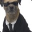 MIB_dog